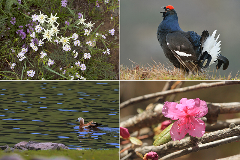 Mongolia travel calendar Events and festivals mongolia